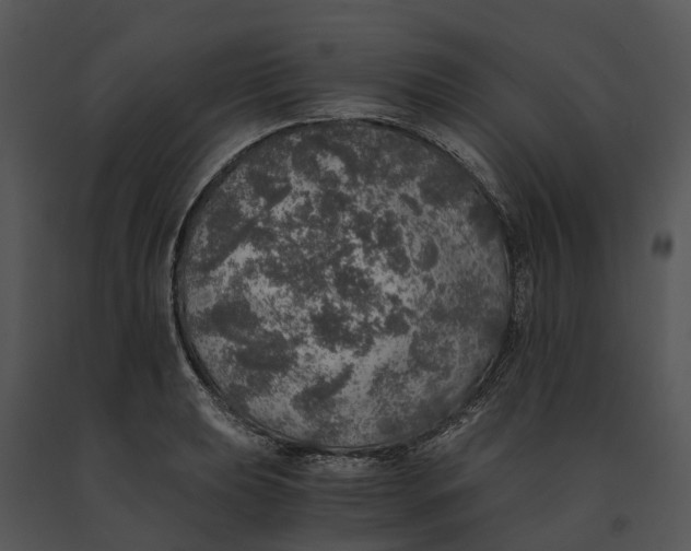 X0000091201039200708301556