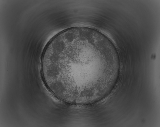 X0000091201040200708301556