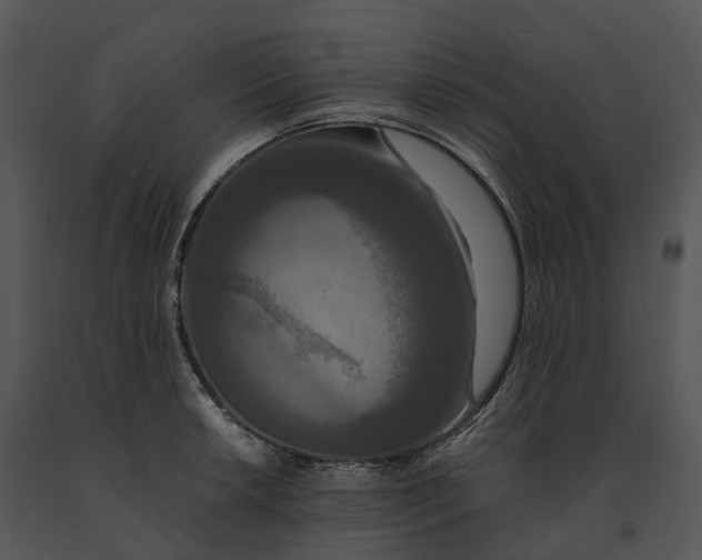 X0000091201042200708301556