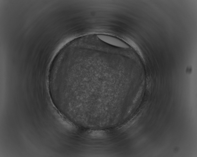 X0000091201043200708301556