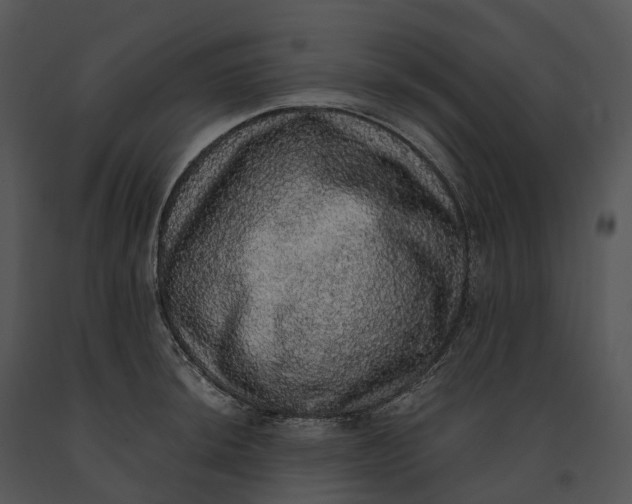 X0000091201044200708301556