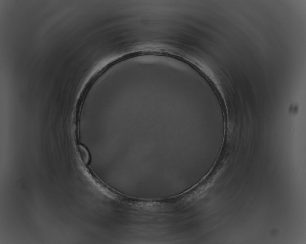X0000091201045200708301556
