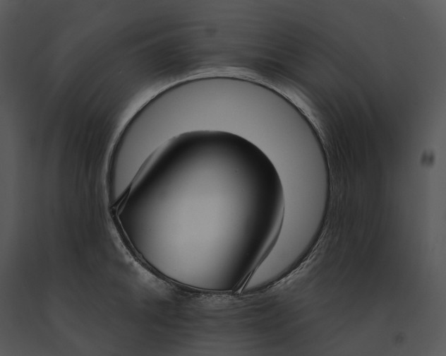 X0000091201046200708301556