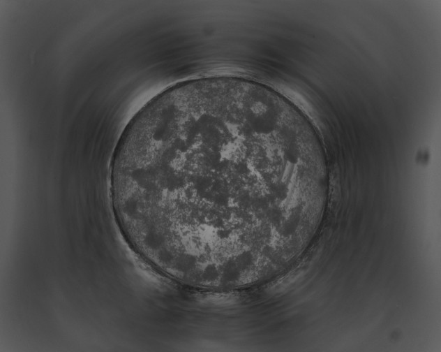 X0000091201047200708301556