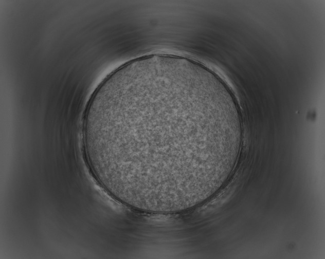 X0000091201048200708301556