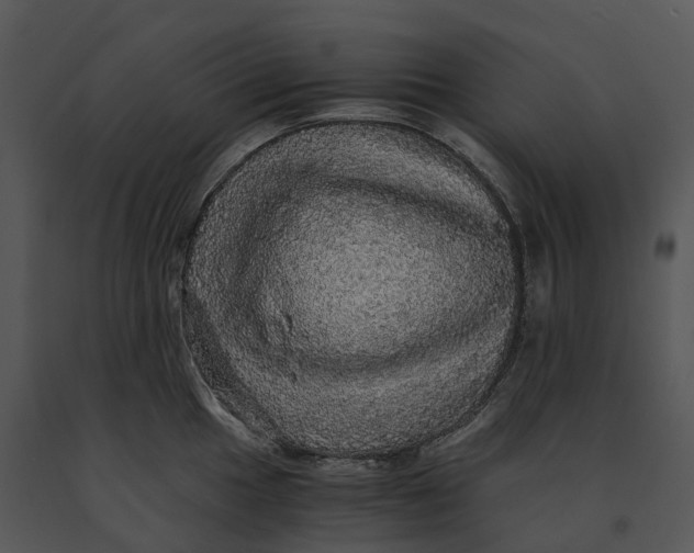 X0000091201049200708301556