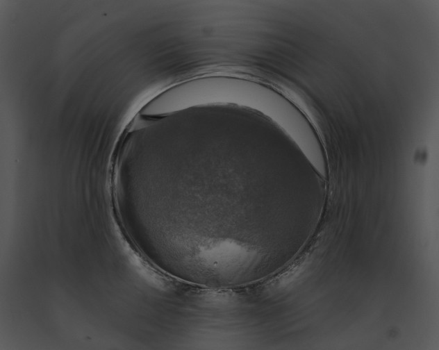 X0000091201050200708301556