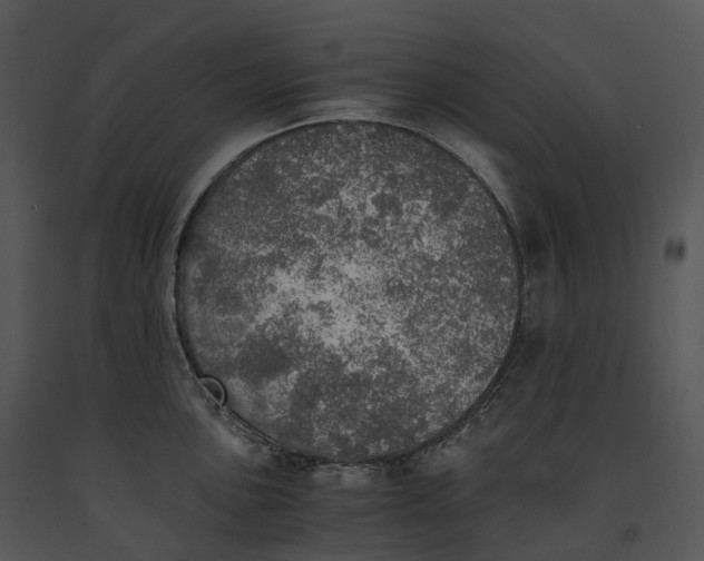X0000091201051200708301556