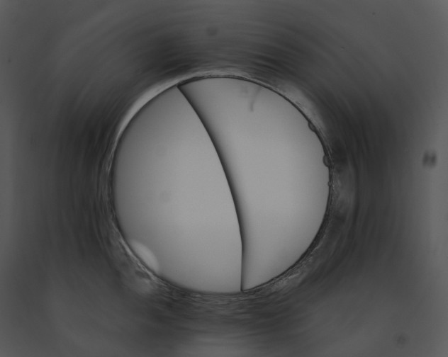 X0000091201052200708301556