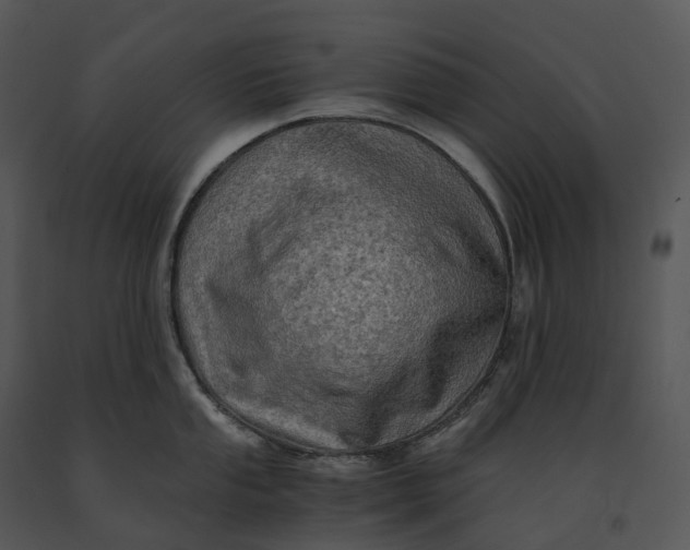X0000091201053200708301556