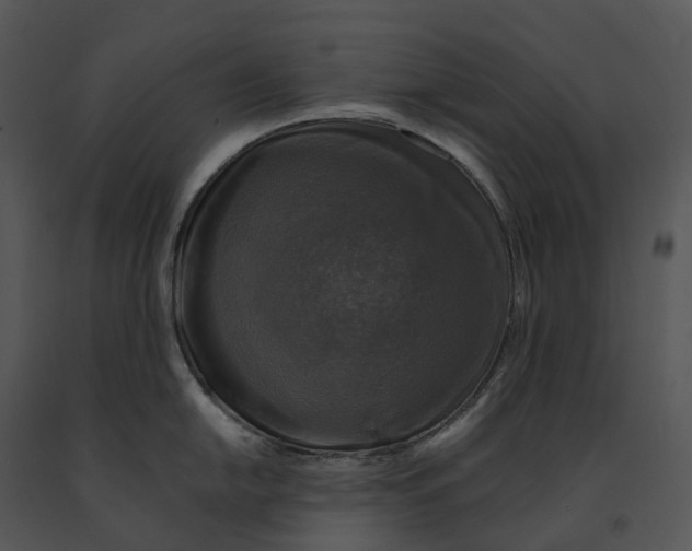 X0000091201054200708301556