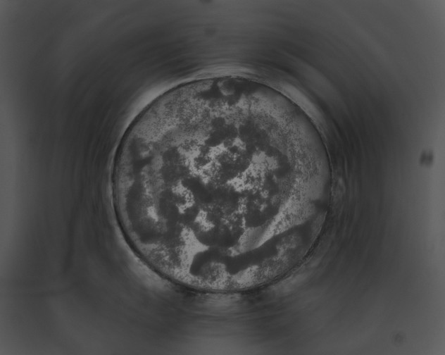 X0000091201055200708301556