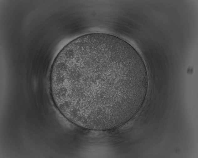 X0000091201056200708301556