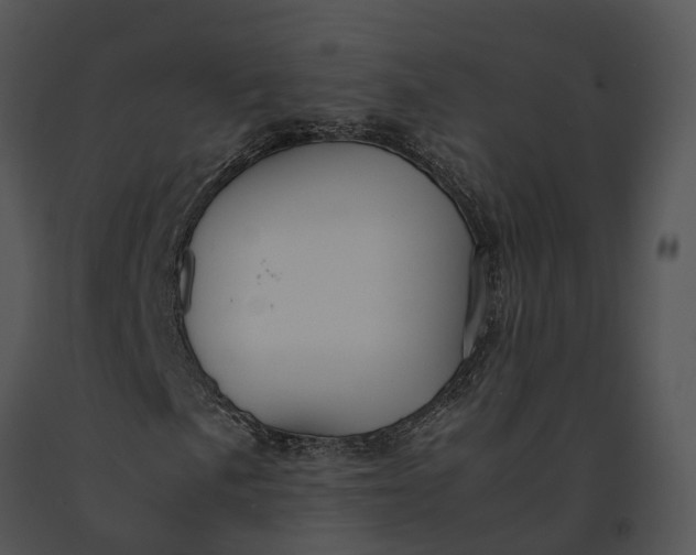 X0000091201057200708301556