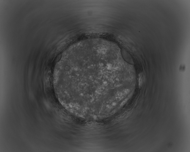 X0000091201059200708301556