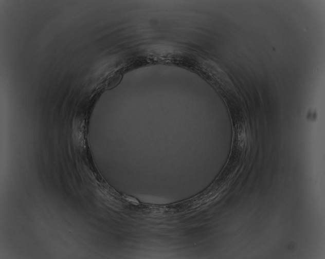 X0000091201060200708301556