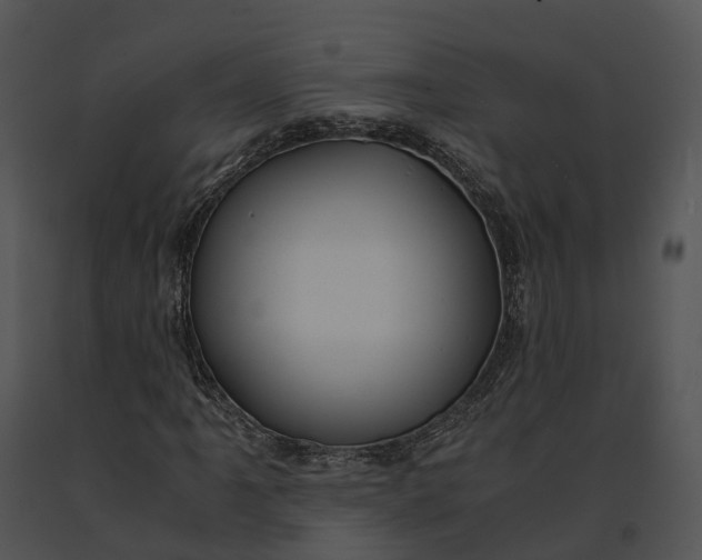 X0000091201061200708301556