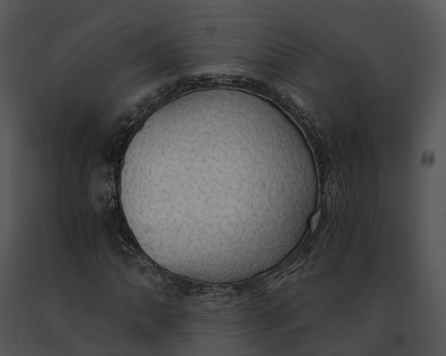 X0000091201062200708301556