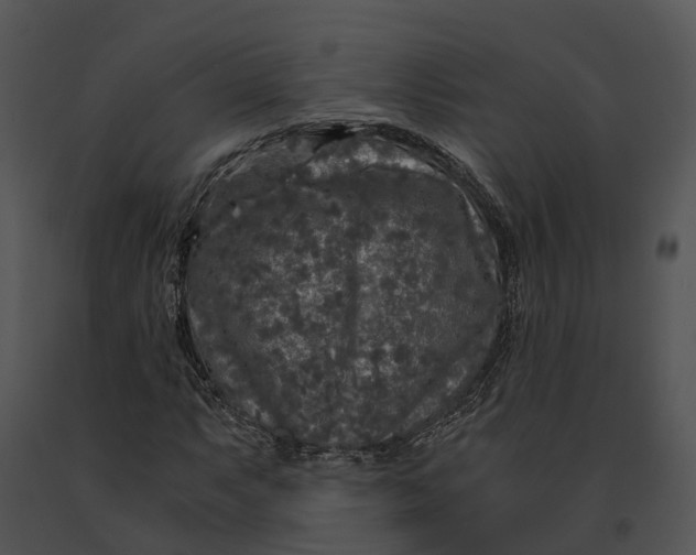 X0000091201063200708301556