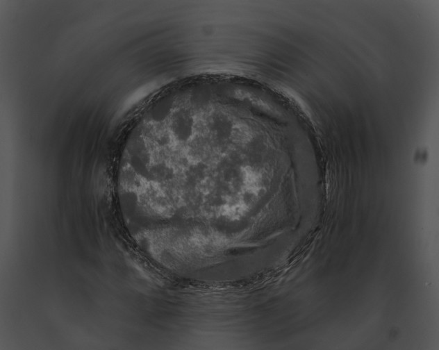 X0000091201064200708301556