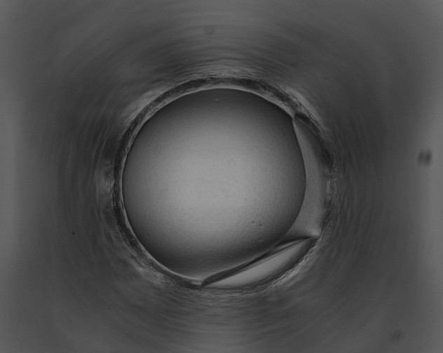 X0000091201065200708301556