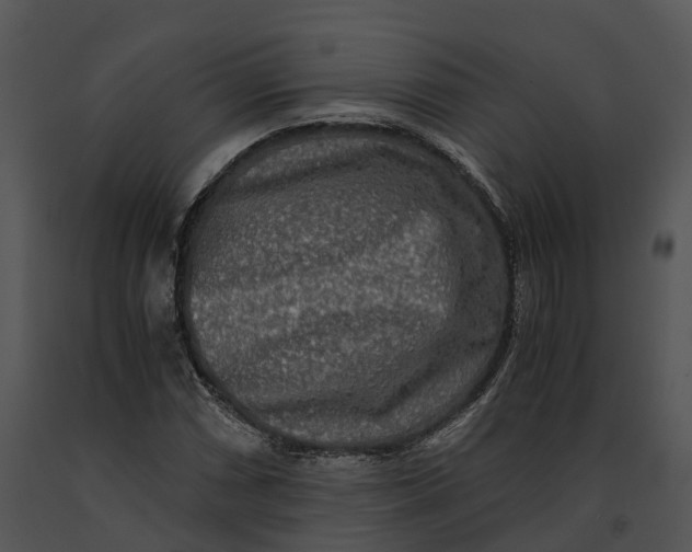 X0000091201066200708301556