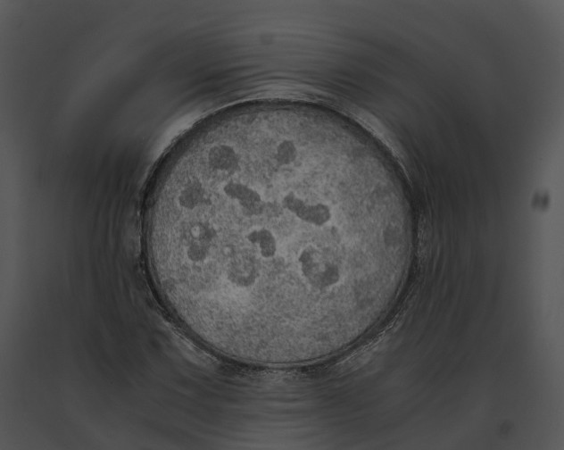 X0000091201067200708301556
