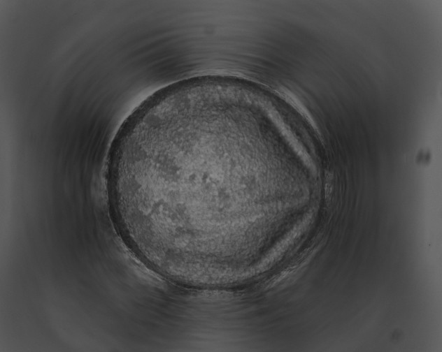 X0000091201068200708301556