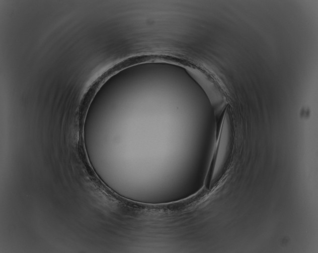 X0000091201069200708301556