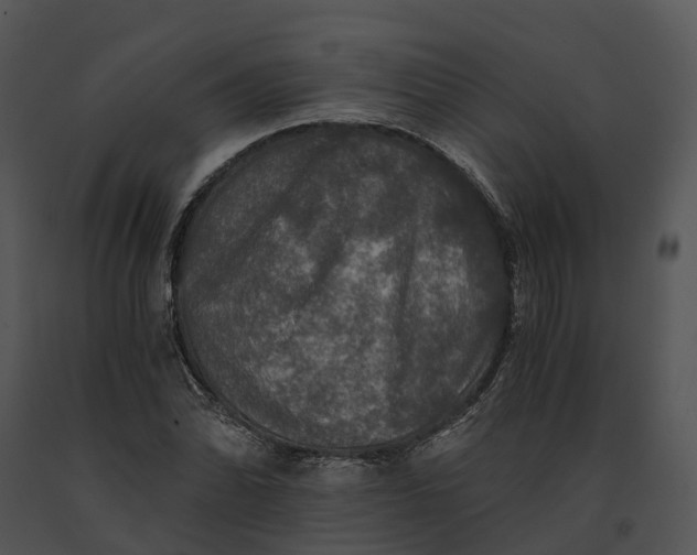 X0000091201070200708301556