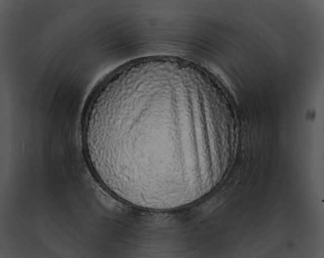 X0000091201072200708301556