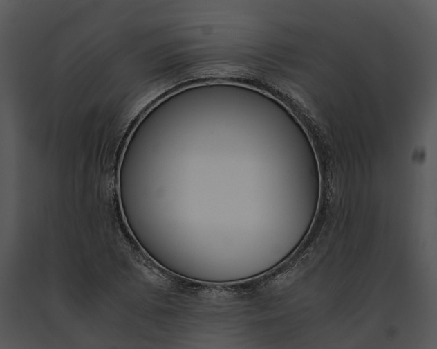X0000091201073200708301556