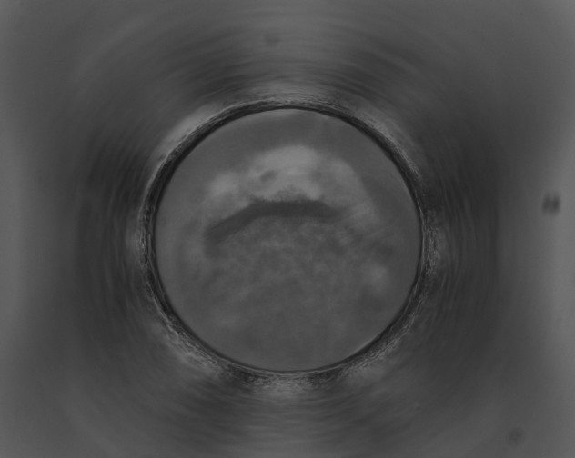 X0000091201074200708301556