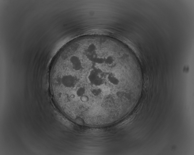 X0000091201075200708301556