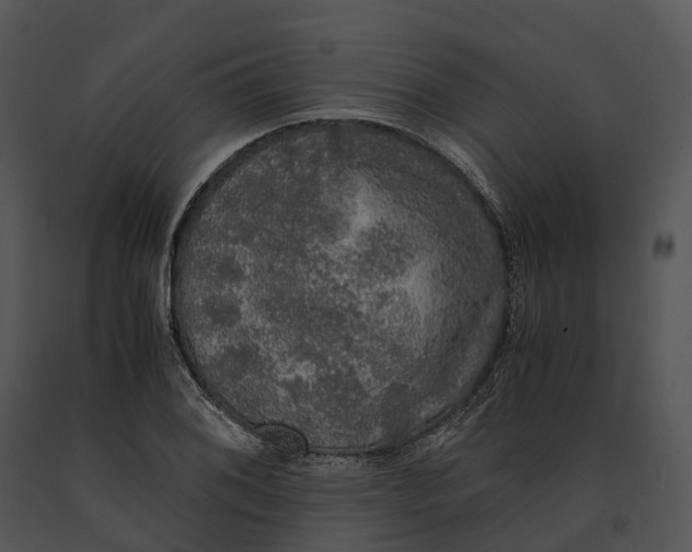 X0000091201076200708301556