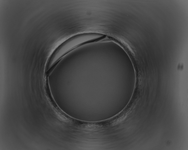 X0000091201077200708301556
