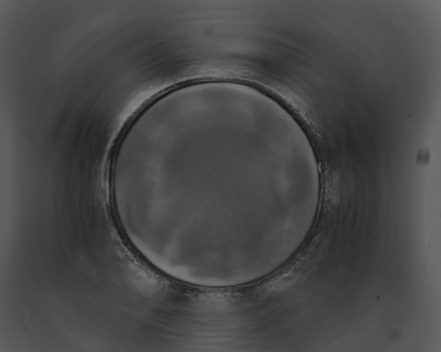 X0000091201078200708301556