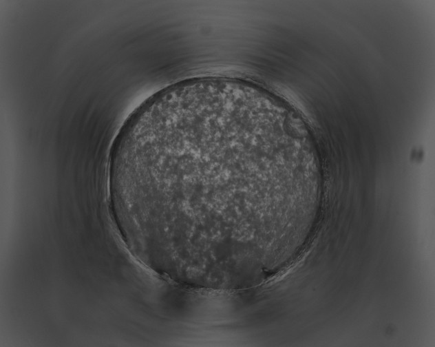 X0000091201079200708301556