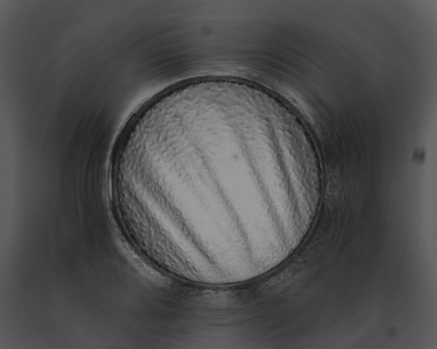 X0000091201080200708301556
