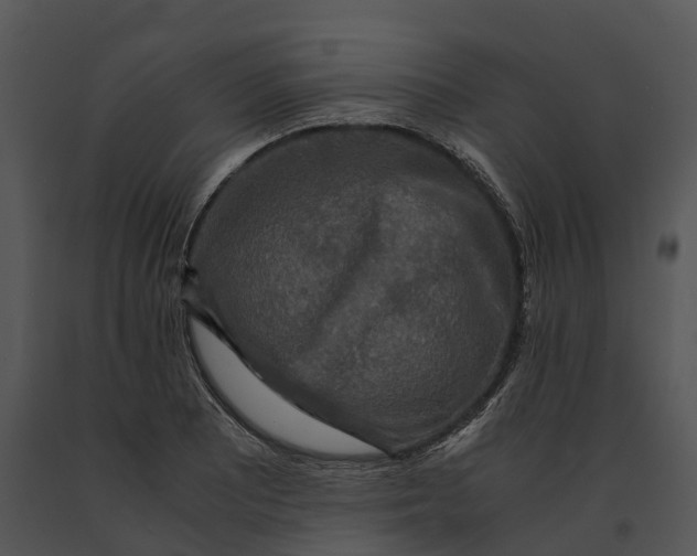 X0000091201081200708301556