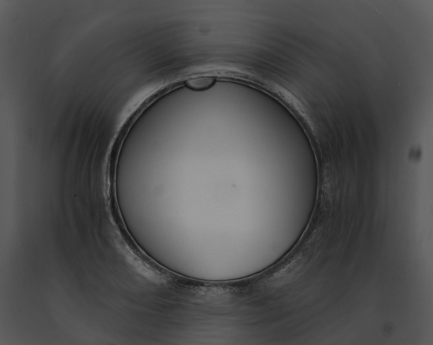 X0000091201082200708301556