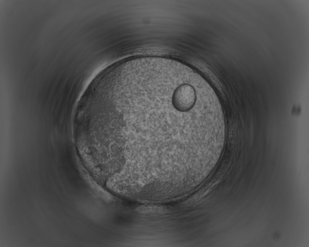 X0000091201083200708301556