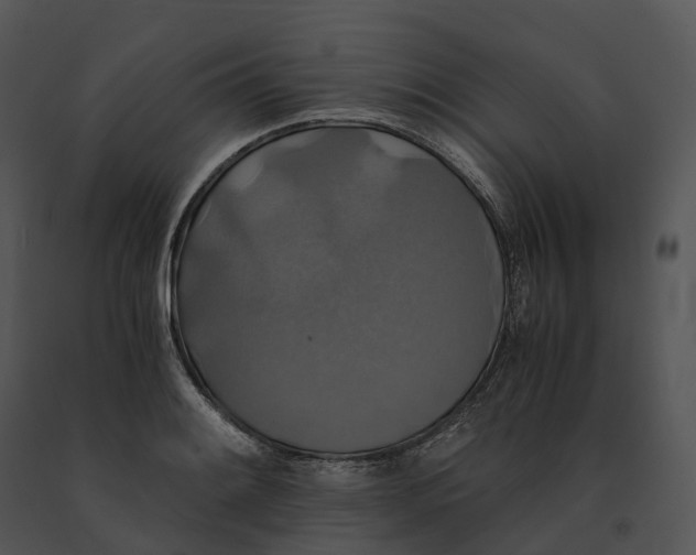 X0000091201084200708301556