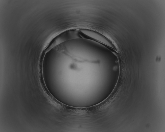 X0000091201085200708301556