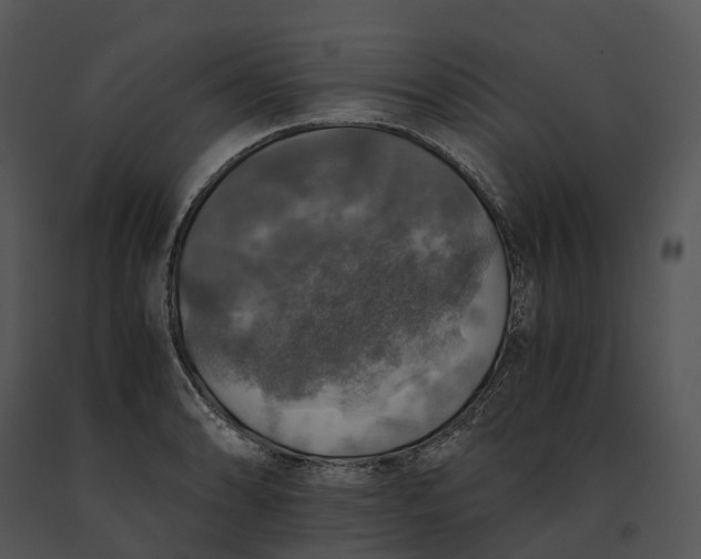 X0000091201086200708301556