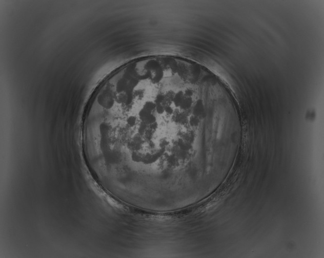 X0000091201088200708301555