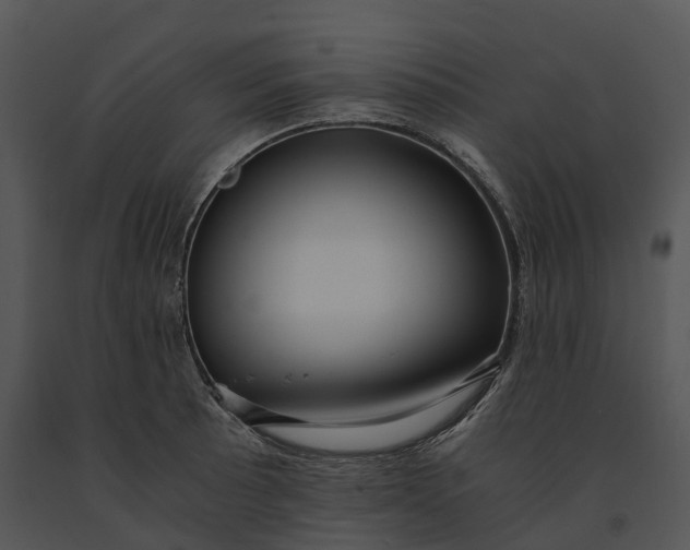 X0000091201089200708301555