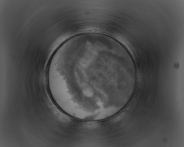X0000091201090200708301555