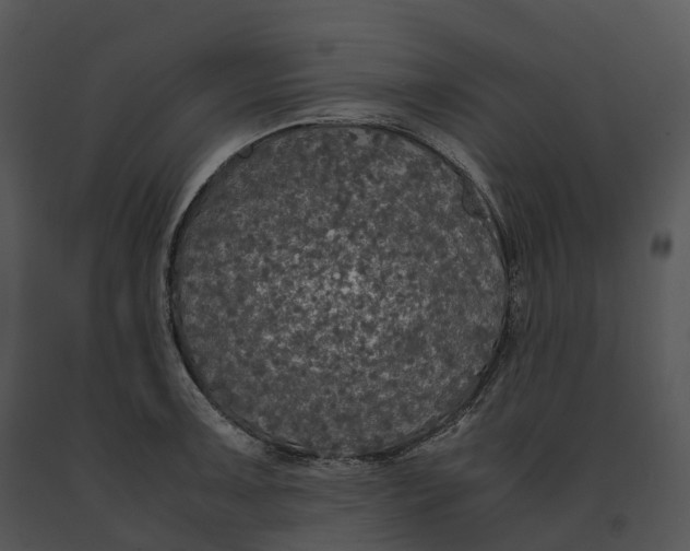 X0000091201091200708301555