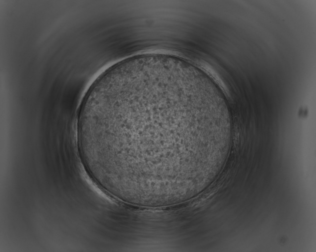 X0000091201092200708301555